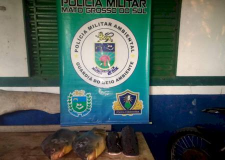 Dono de conveniência é autuado por comercializar pescado ilegal