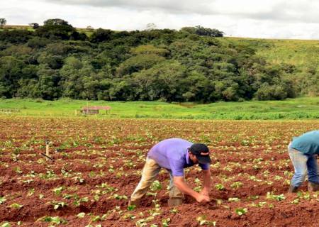 TJ inclui proposta do Governo para beneficiários da reforma agrária sobre a lei das taxas cartorárias