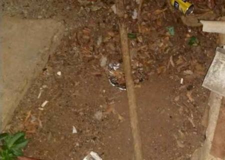 Homem é morto com golpes de enxada após dizer que teria relação sexual com irmã do autor