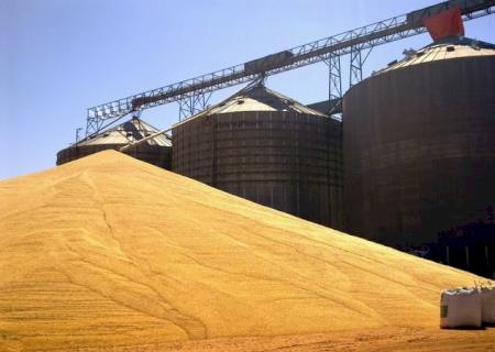 Trabalhador cai em silo e morre soterrado por grãos de milho em Itaquiraí