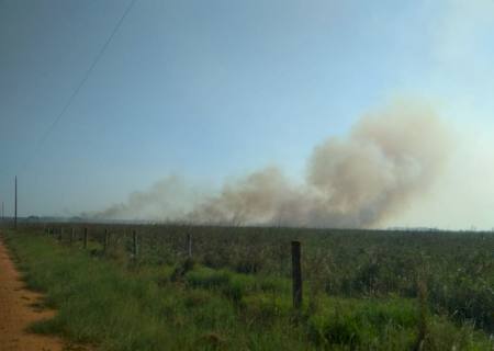 Polícia Militar Ambiental de autua paranaense por incêndio para renovação de pastagem