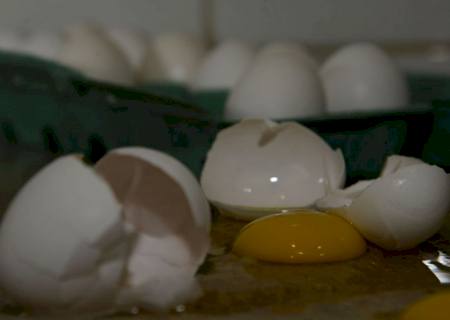 Produção de ovos de galinha bate novo recorde no país, diz IBGE