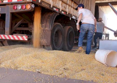 Agronegócio fatura R$ 10,4 bi, mais da metade das exportações em MS