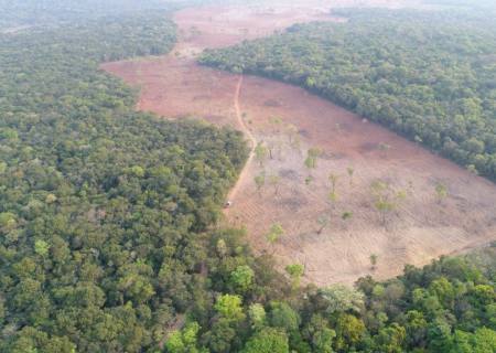 Desmatamento de área de Mata Atlântica gera multa de R$ 28 mil a fazendeiro em MS