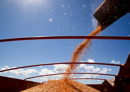 CNA prevê aumento da produção do agronegócio no próximo ano