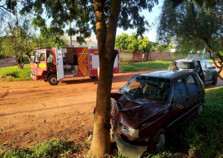 Idoso é preso após bater carro em árvore suspeito de embriaguez