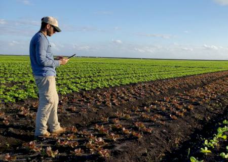 Estudante do IFMS faz estágio nos Estados Unidos