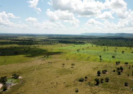 PMA multa paulista em R$ 108 mil por desmatamento em área protegida por lei