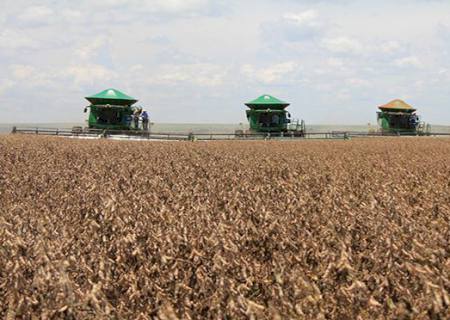 VBP agro ultrapassa R$ 39 bilhões em MS; para Governo é preciso analisar reação do mercado externo