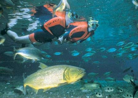 Referência nacional, Bonito tem melhor resultado no ecoturismo desde 2016