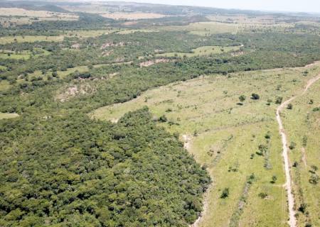 PMA de Coxim multa infrator em R$ 118 mil por desmatamento ilegal de 102 hectares
