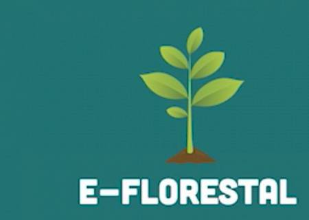 Ferramentas do Imasul agilizam processos de licenciamento ambiental em MS