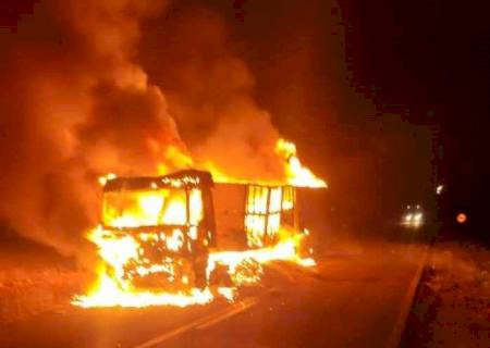 Vídeo: Carreta com 37 ton de soja fica destruída por incêndio na MS-386