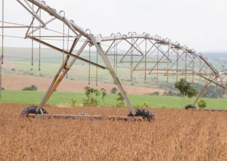 Safra de grãos deve crescer 3,1% em fevereiro