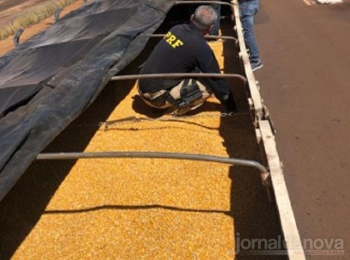 PF e PRF apreendem 4,6 toneladas de maconha em Ponta Porã