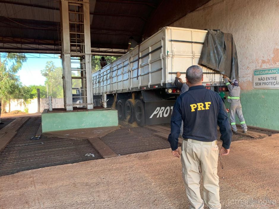 PF e PRF apreendem 4,6 toneladas de maconha em Ponta Porã