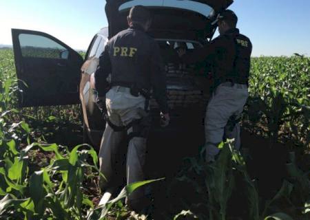 Durante fuga da PRF, traficante abandona veículo cheio de maconha em milharal