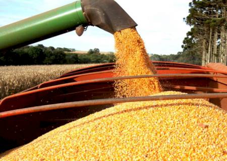 Supersafra deve evitar queda ainda maior do PIB brasileiro