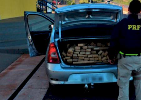 PRF apreende 391 kg de maconha em Eldorado