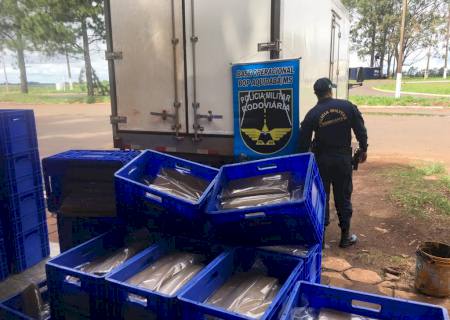 PMR apreende mais de 2 ton de maconha em meio a carga de peixes