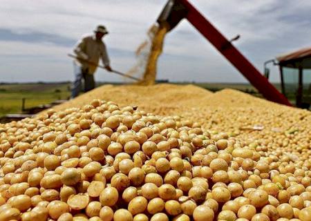 Safra pode superar 250 milhões de toneladas, apesar de pandemia