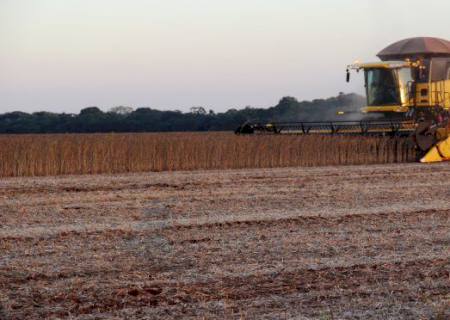 Sanção da MP do Agro abre caminho para cooperativas operarem recursos do FCO