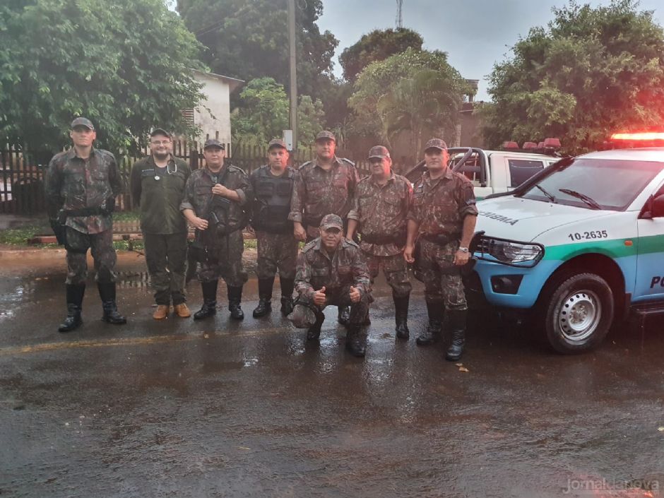Ação conjunta captura onça-parda que estava em árvore no quintal de residência em Anaurilândia