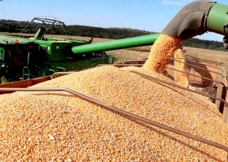 China é o destino de 79% da produção de soja exportada pelo Mato Grosso do Sul