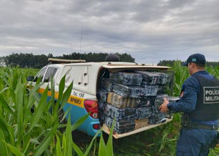 PMR encontra mais de 600 kg de maconha abandonada em milharal