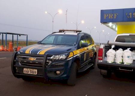 PRF apreende agrotóxicos contrabandeados em Naviraí