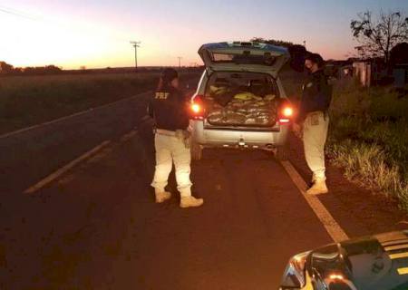 PRF apreende veículo com drogas após perseguição em Sidrolândia
