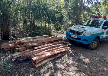 Polícia Ambiental de prende foragido da justiça e ex-presidiário explorando madeira em área protegida
