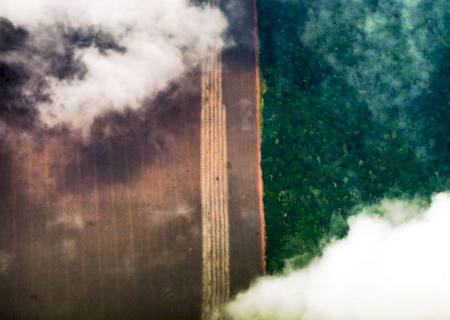 Cepal recomenda agricultura sem queimadas na Amazônia