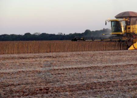 Agropecuária pode faturar R$ 703,8 bilhões em 2020, diz ministério