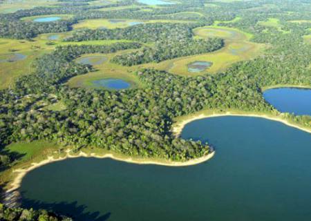 Sancionada lei de autoria de Renato Câmara que define 12 de novembro como o Dia do Pantanal