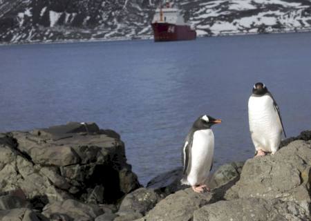 Aquecimento dos oceanos pode mudar recifes de corais, mostra estudo