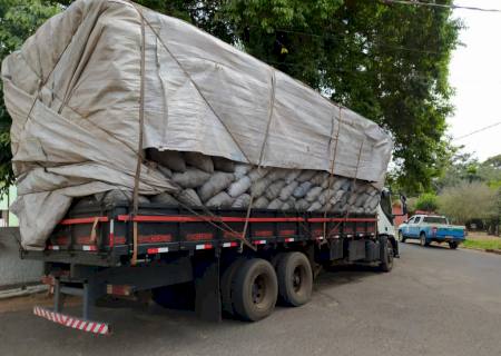 Polícia Ambiental apreende caminhão com carvão ilegal e multa empresa carvoeira