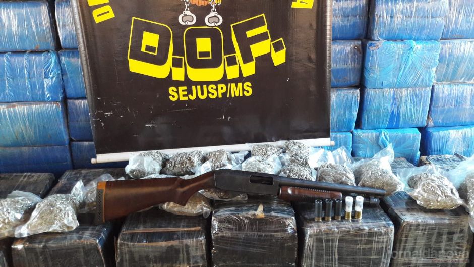 DOF apreende mais de 3 ton de maconha em uma fazenda