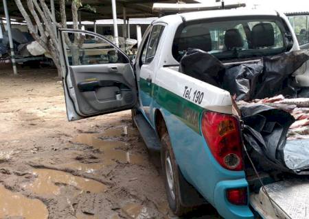 Polícia Ambiental autua funcionária de rancho por armazenamento de pescado abaixo da medida permitida