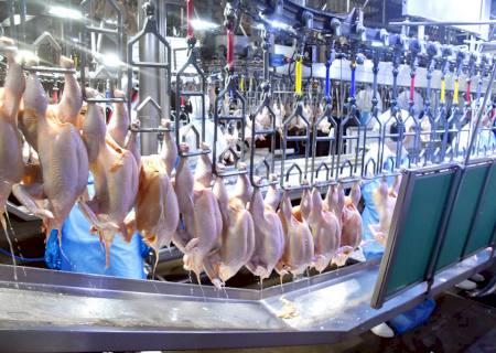 Indústria de MS registra alta de 26% na geração de emprego no 1º semestre apesar da pandemia
