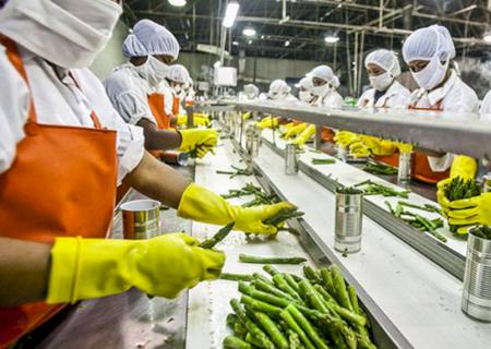 Apesar da Covid-19, atividade industrial de MS melhorou pelo 3º mês consecutivo