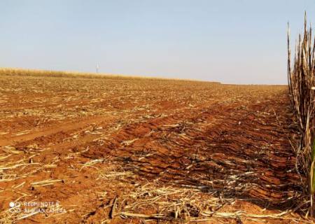 Empresa agropecuária é multada em R$ 740 mil por incêndio em lavoura