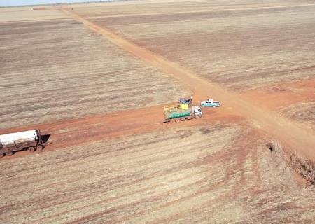 Usina de Rio Brilhante é multada em R$ 186 mil por incêndio em sua lavoura de cana em Sidrolândia
