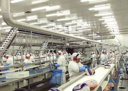 Exportações crescem de janeiro a julho e superávit de MS é 29,37% maior em relação ao ano passado