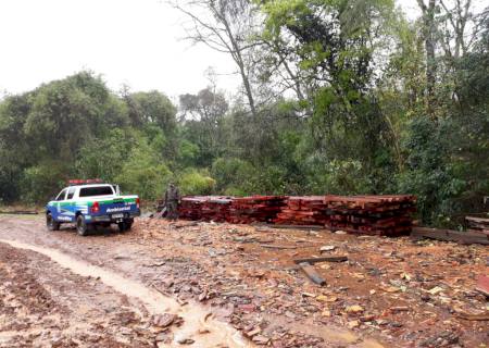 PMA autua fazendeiro por armazenamento ilegal de madeira