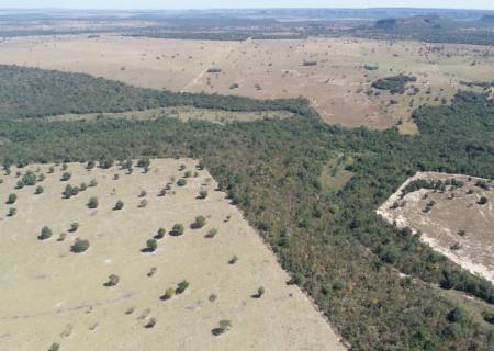 Empresa é multada em R$ 320 mil por desmatamento de área protegida por lei em MS