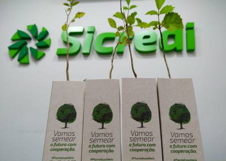 Sicredi de Nova Andradina distribui mudas em comemoração ao Dia da Árvore