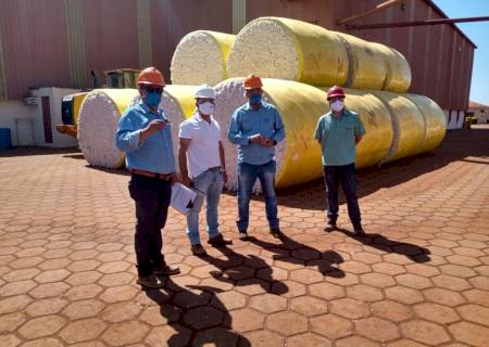 MS tem a primeira algodoeira do Brasil certificada em quesitos de sustentabilidade