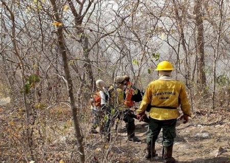Ministros da Agricultura e Meio Ambiente confirmam ida ao Pantanal