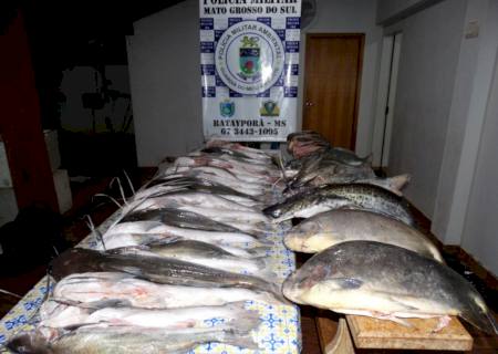 Polícia Ambiental de Batayporã prende quatro pescadores amadores no rio Ivinhema